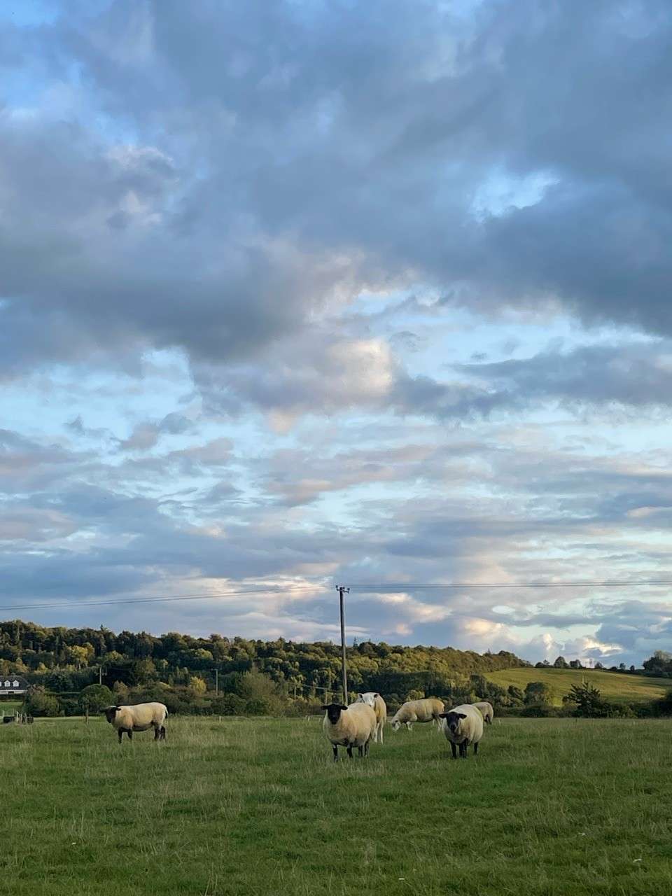 Irland 2025 mit Erasmus+