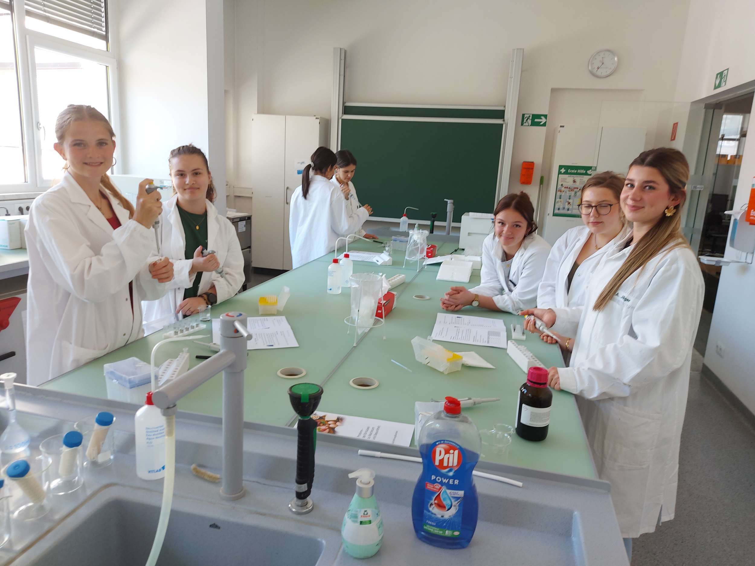 Bio Workshop 6mt im Labor