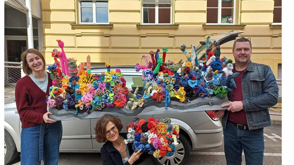 Schauer reef goes museum