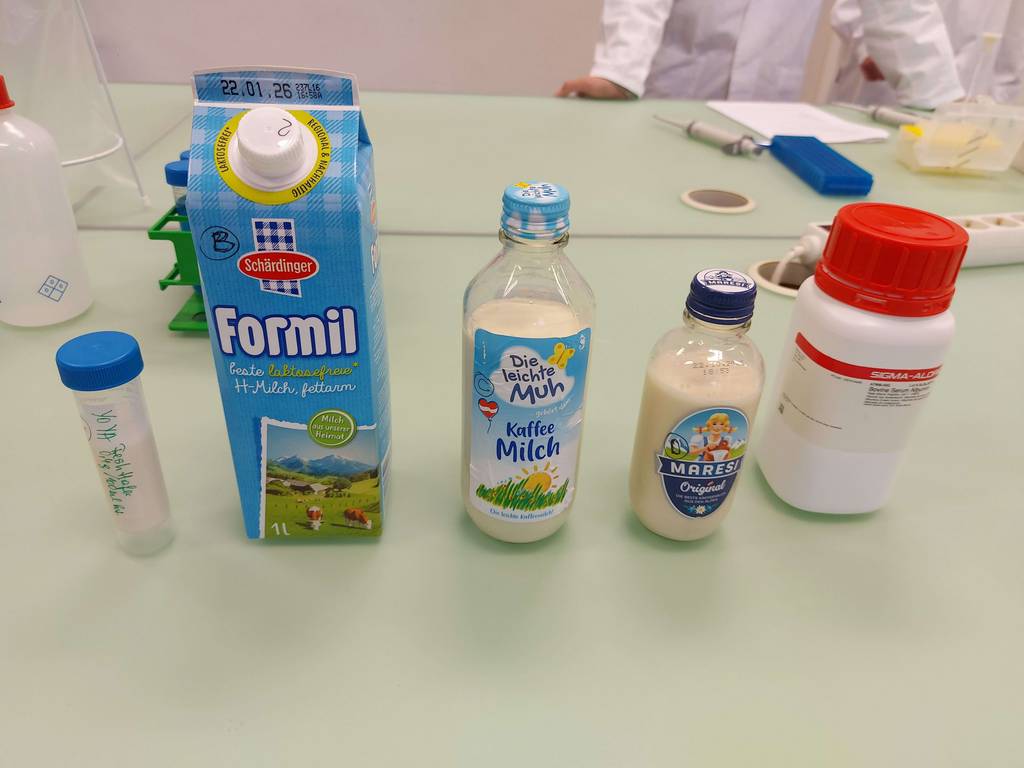 Biologie-Workshop Milchprodukte